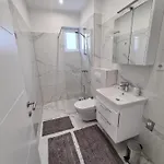 Vijecnica Denis Sarajevo