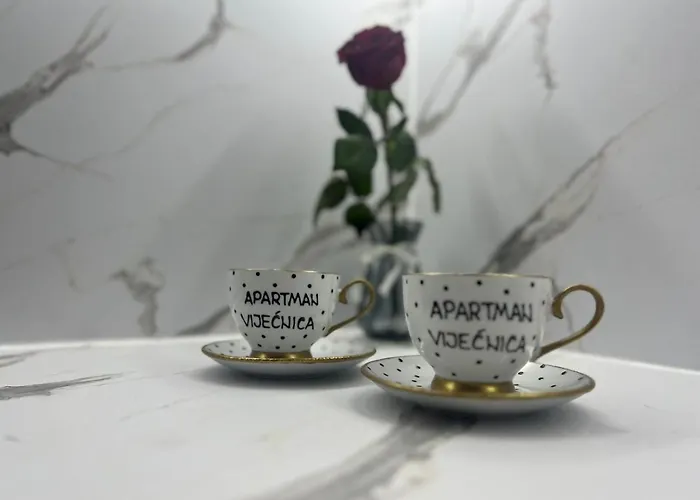 Vijecnica Denis * Sarajevo