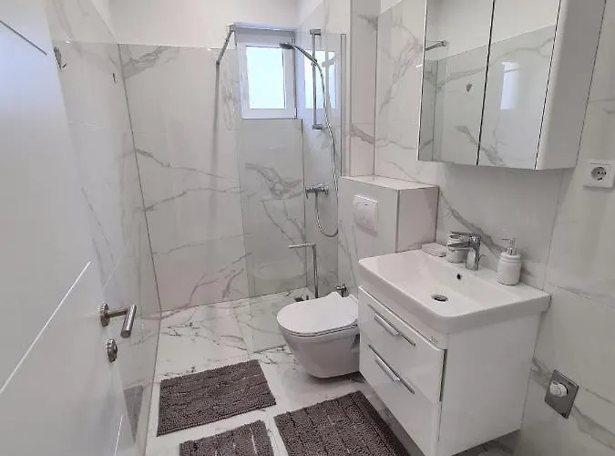 Vijecnica Denis Sarajevo